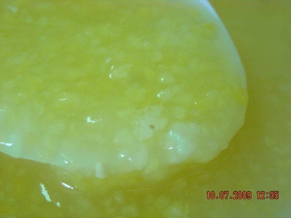 DSCN8546.JPG