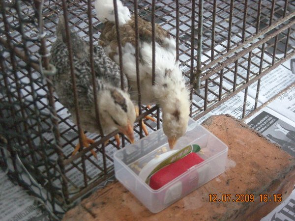 DSCN8690.JPG