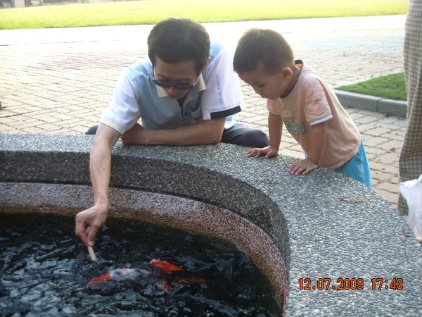 DSCN8701.JPG