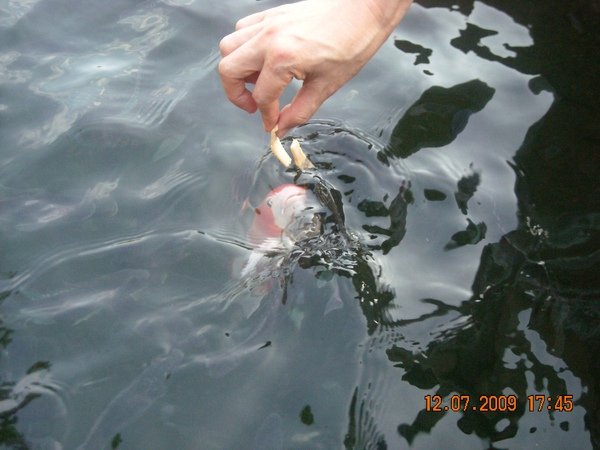 DSCN8702.JPG