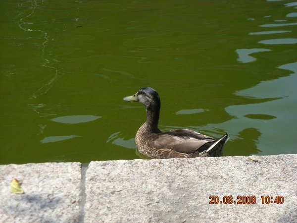 DSCN9798.JPG