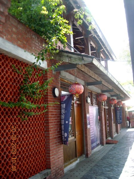 DSCN9803.JPG