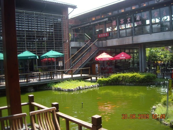 DSCN9804.JPG