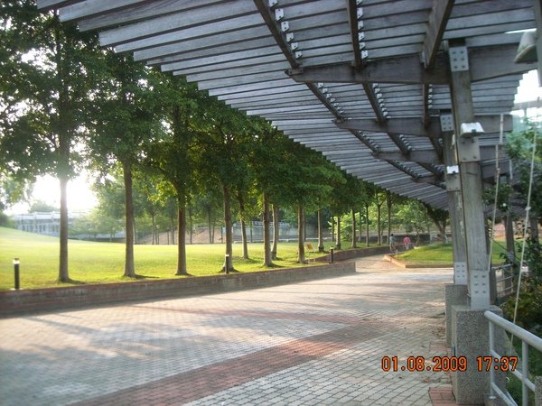 DSCN9416.JPG