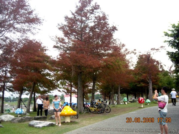 DSCN0020.JPG