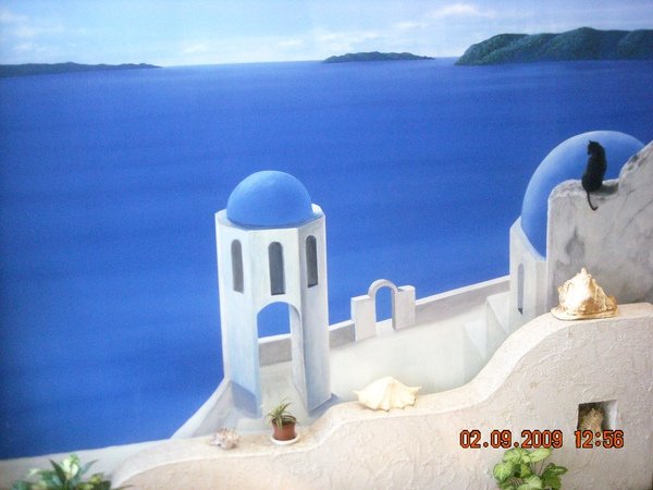 DSCN0494.JPG