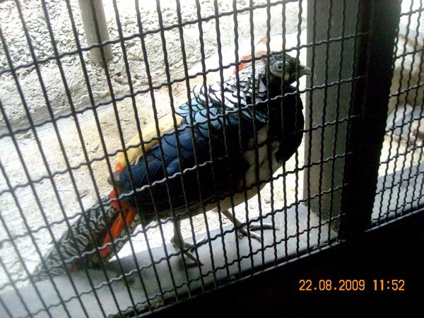 DSCN0226.JPG