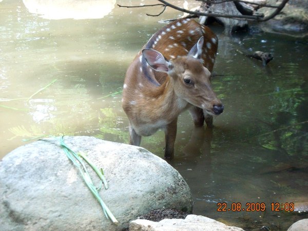 DSCN0230.JPG