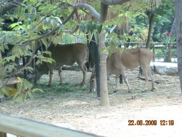 DSCN0238.JPG