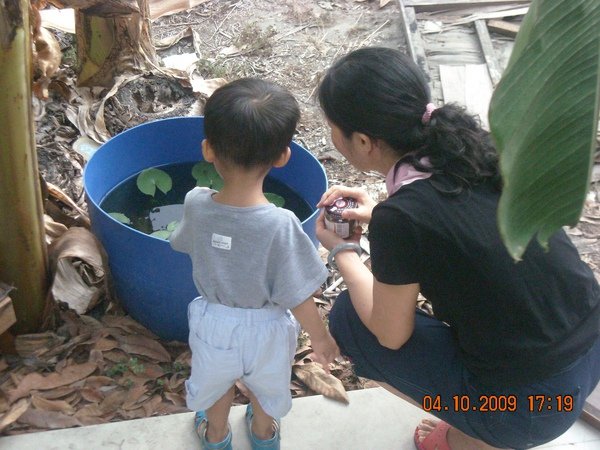 DSCN1329.JPG