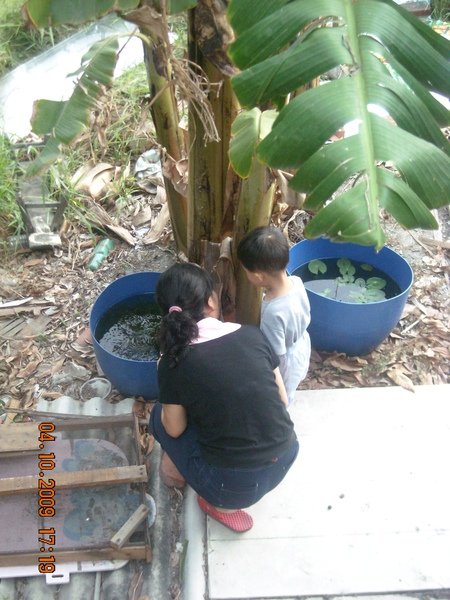 DSCN1330.JPG