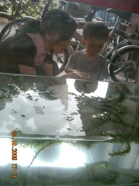 DSCN1325.JPG