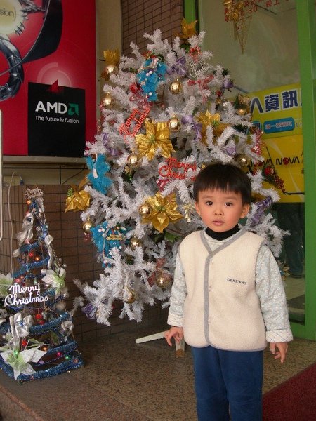 DSCN8206.JPG