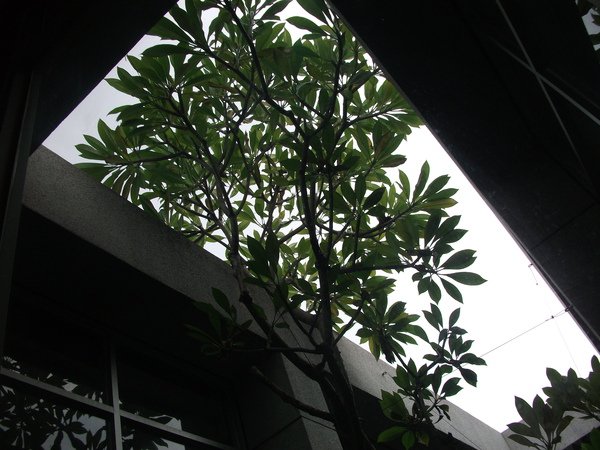 DSCF1162.JPG