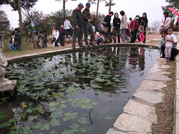 DSCF1229.JPG