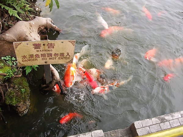 DSCF1872.JPG