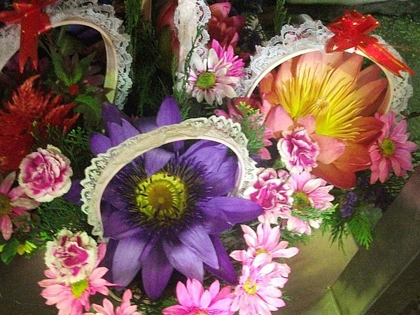 DSCF2409.JPG