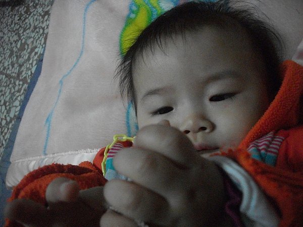 DSCF7253.JPG
