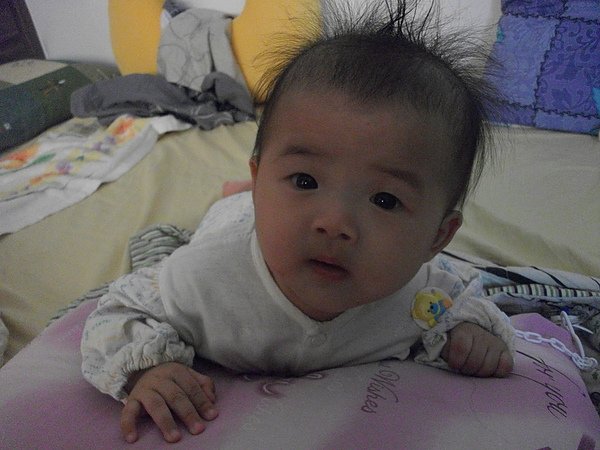 DSCF5387.JPG