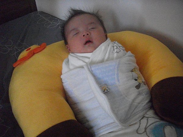DSCF4177.JPG