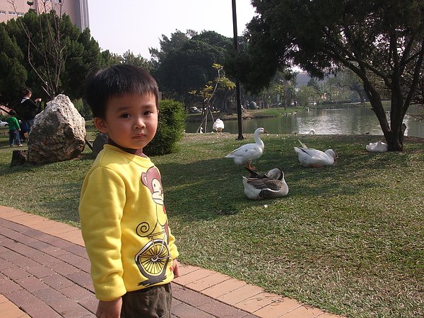 DSCF6308.JPG