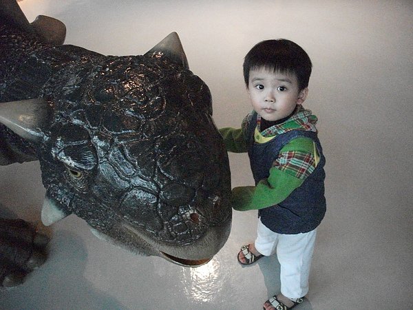 DSCF6503.JPG