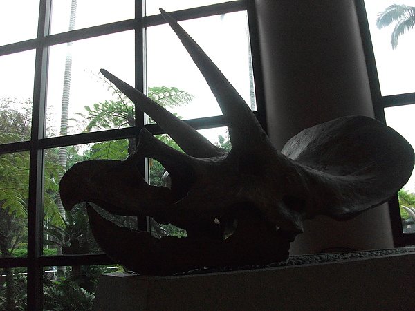 DSCF6504.JPG