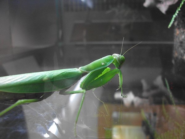 DSCF6493.JPG