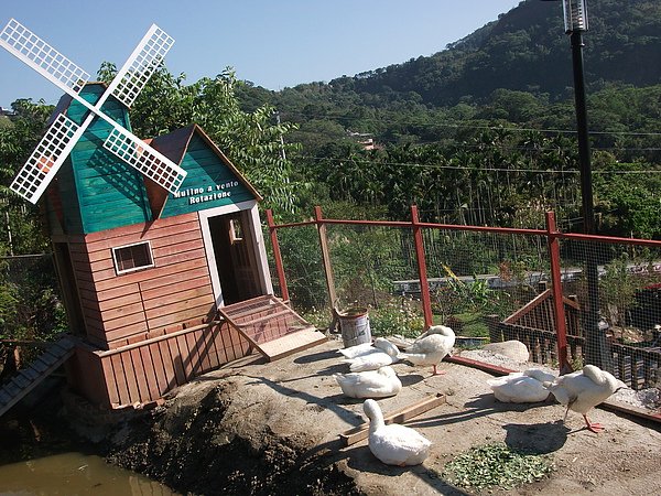 DSCF6544.JPG