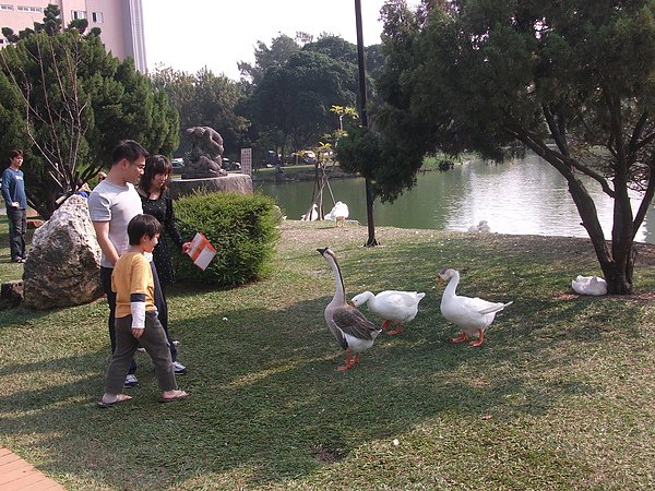 DSCF6309.JPG