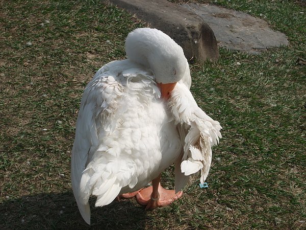 DSCF6312.JPG