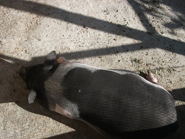 DSCF6572.JPG
