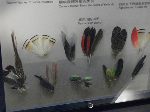 DSCF6482.JPG