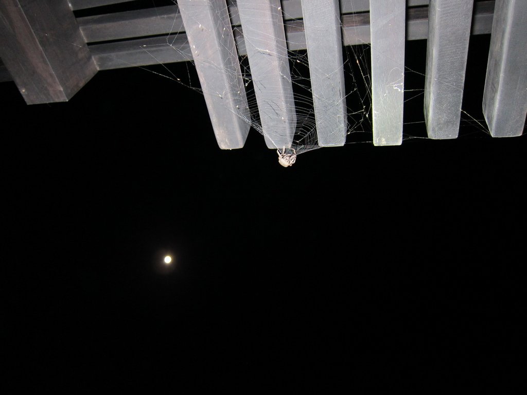 IMG_6665