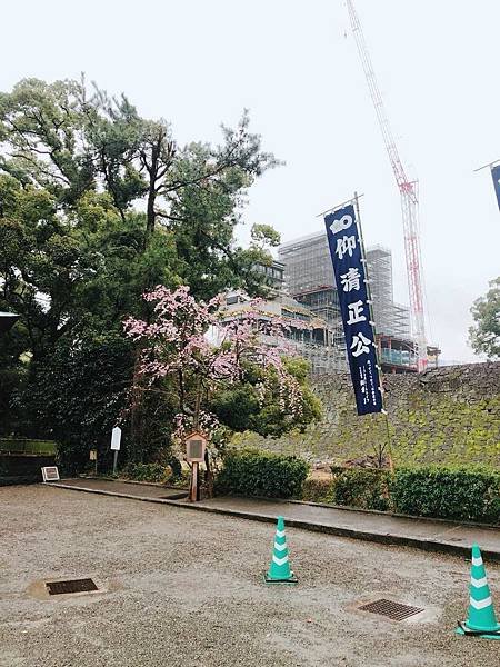 20180619_180620_0030.jpg