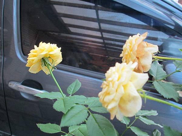 IMG_0357.JPG
