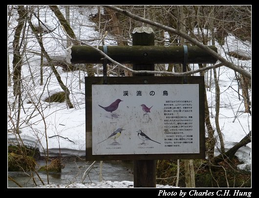 奧入瀨_30.jpg