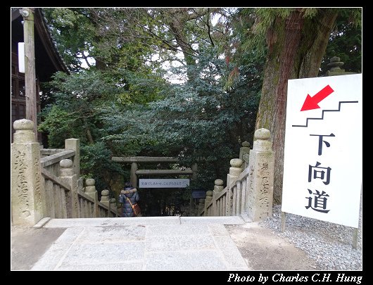 金刀比羅宮_101.jpg