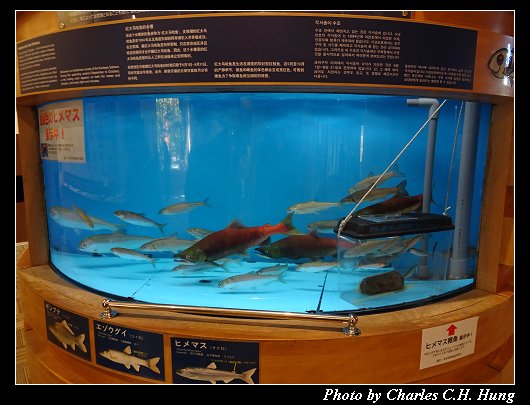 支笏湖_015.jpg