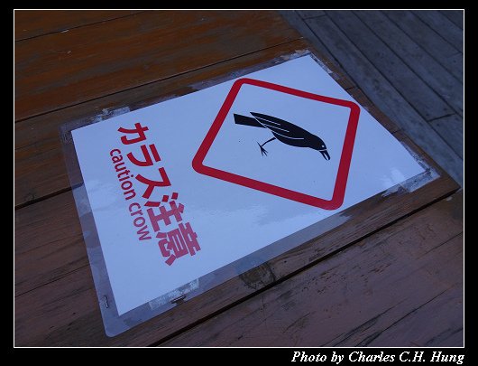 支笏湖_020.jpg