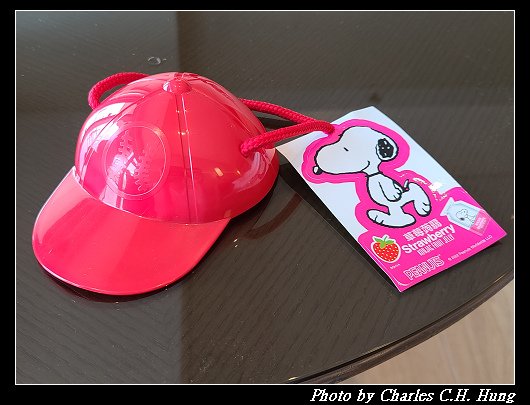 SNOOPY_010.jpg