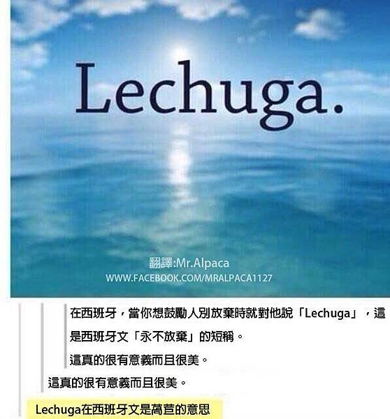 funny-tumblr-hashtag-lechuga.jpg