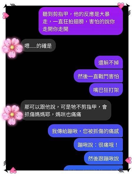 虎皮鸚鵡-蹦啾☀️愛是一切的起源☀️