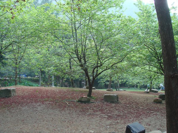 DSC09564.jpg