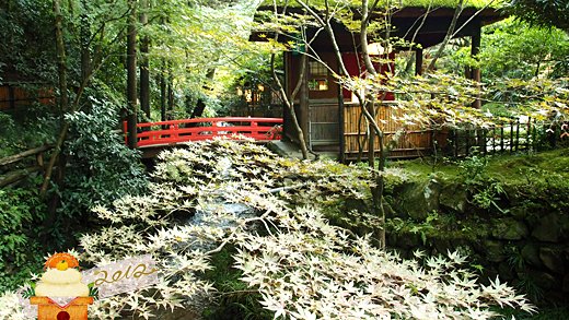 食-うかい鳥山 (38).jpg