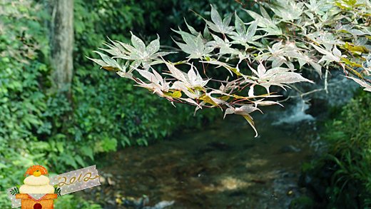 食-うかい鳥山 (44).jpg