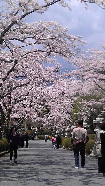 2012.0417~0423東京7天~六本木米其林餐廰好美味，伊豆隱之宿 三養莊、RISONARE、東京麗池卡爾登