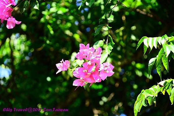 DSC_1049.JPG