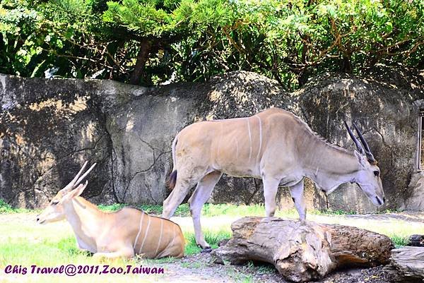 DSC_1205.JPG