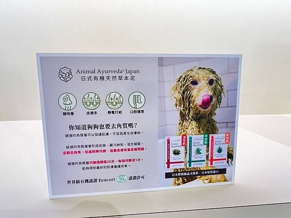 &lt;寵物美容推薦&gt;帶元元來全身去角質!國寶寵物_喵汪美安宿沐沐